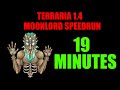 Terraria 1.4 Moonlord Speedrun | 19 Minutes World Record