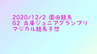 2020/12/2園田競馬 G2兵庫ジュニアグランプリ マジカル競馬予想