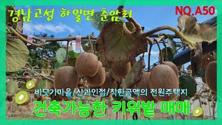 NO.A50／경남고성)🌞하루 종일 따스한 햇살이 내리쬐는 마을 한켠 건축가능한 🥝키위 밭🥝매매입니다. 주변 신경 쓸 필요없는 바닷가마을 한켠*산과 인접*큰 평수*전원주택지 적합*