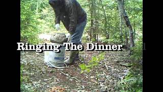 2015 Spring Bear Hunt with Bear-O-Rama HD