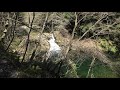 広島県　安芸太田町　横川林道ツーリング　険道　淋道