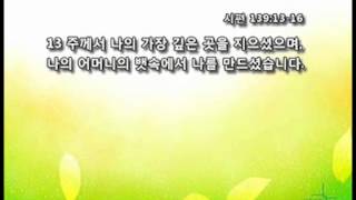 [서울드림교회] 2015년 1월 3일 (한남) 두려워마라 (이사야 43장 1절-7절)_신도배 목사