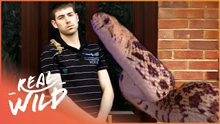 Meet The Reptile King Of Essex! | Snakes In The City | Real Wild Documentary