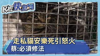 流浪動物日\