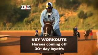 FAQ60 Workouts