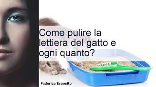 Pulire la lettiera del gatto: come e ogni quanto?  Wamiz