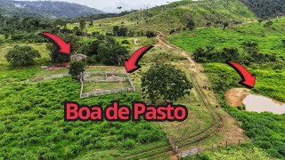 Fazenda de 80 alqueires a venda.  veja como melhorou o capim..