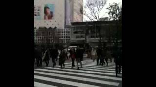 2011年3月20日 渋谷交差点