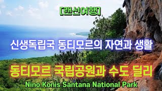 [랜선여행] 동티모르 국립공원과 수도 딜리 ⛰️ 신생독립국 동티모르의 자연과 생활 🏖️