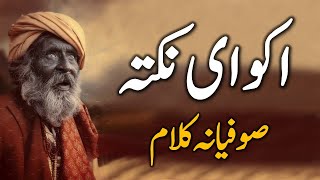 Poetry Ikko Hi Nukta by Saeed Aslam | Punjabi Shayari | اکو ای نکتہ