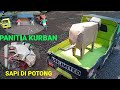 POTONG SAPI | sapi kurban dipotong | simulasi potong sapi