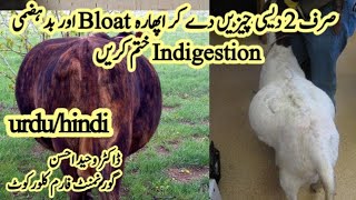 Badhazmi or Upharay ka ilaaj - Treatment of Bloat and indigestion