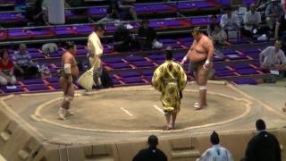 大相撲.2016.7.17㊱/翔傑(shoketsu)-富栄(tomisakae)/nagoya Basho/day 8 #sumo