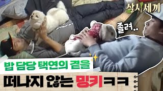 [#삼시세끼정선편] 삼시세끼에서 발견한 이서진의 재능! 이서진의 박력있는 감자깎기 스킬 공개