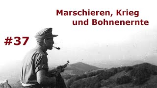 Marschieren, Krieg und Bohnenernte - Tagebuch eines Feldwebels Teil 37