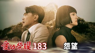 愛的榮耀 EP183 怨望｜Glory of Love