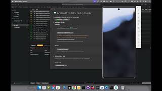 Proxyman captures HTTPS from Pixel 6 Pro API 36 Android Emulators
