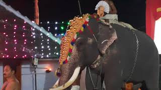 Ulasavam in Mannapra aratu(1)