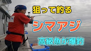 狙い通りのシマアジを釣りました！（釣りタマ日誌#20）