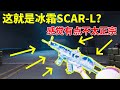 这就是传说中的冰霜SCAR-L？感觉不太正宗，冰霜要朴实无华才好看