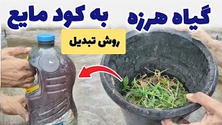 علف هرز را با این روش تبدیل به قویترین کود کردم  | چگونه از گیاهان هرزه بهترین کود مایع تولید کنیم ؟