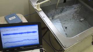 非線形超音波照射技術　The nonlinearity phenomenon of an ultrasonic wave