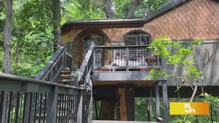 Enchanted Forest Tree House takes imagination and vacation to new heights