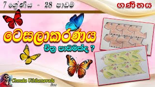 maths - Grade 7 - lesson 28 - ටෙසලාකරණය - sinhala medium