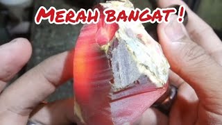 bongkahan nya merah seperti fanta bagaimana hasilnya klw dibuat batu cincin#batuakik#batupermata