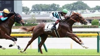 2歳新馬　芝1800m(左) 　ヴェロキラプトル　牡2　55.0　三浦皇成　2023.6.24　出走馬：デンティベス、ポッドテオ、ミラキュラスドラマ、ロジルーラー、サイレンスホープ、ルージュスエルテ他