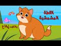 اغنية القطه المشمشيه حلوه بس شقيه بدون ايقاع | اغاني اطفال بون بون