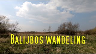 Balijbos laarzenpad wandeling