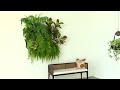 woolly pocket instant living walls with the wally modular living wall system