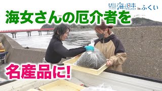 海女さんの厄介者「アカモク」を名産品に！ 日本財団 海と日本PROJECT in ふくい 2022 #04