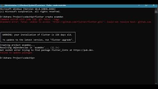 unable to access 'https://github.com/flutter/flutter.git/': Could not resolve host: github.com