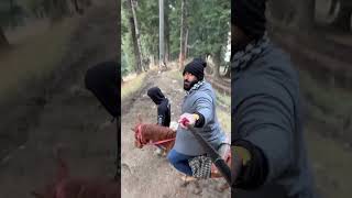 Avoid this horse ride SCAM in Kashmir, Pahalgam #scam #kashmir #shorts #ytshorts #pahalgam