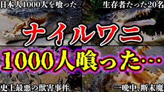 【ゆっくり解説】日本人1000人を喰った…世界最悪の人喰い巨大ワニ \