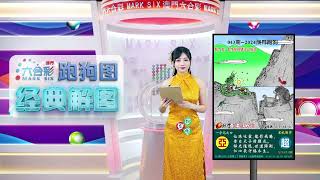 第043期 --【澳门跑狗图】潘金莲来给你解图啦！稳中特码不再是梦！🔥 🔥