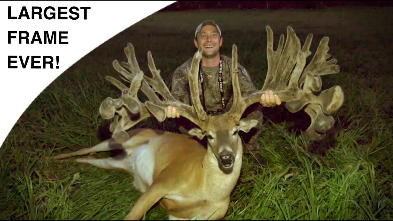 Biggest Whitetail Buck