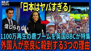 「ここは異世界なの？」ついに英国BBCも日本を奈良を特集！外国人が奈良に殺到する3つの理由とは【海外の反応】