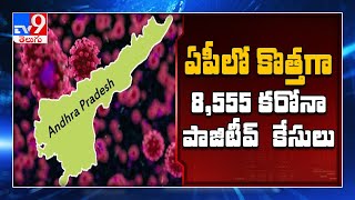 COVID 19 : AP reports 8,555 new cases, 67 deaths - TV9