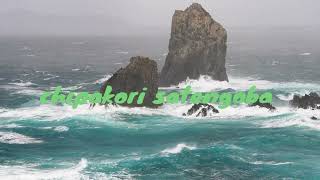 Ringko chogipasa chi tarakbeoba uia whatsapp status video