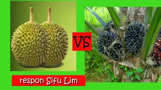 Hasil Durian vs Sawit, mana lagi lumayan? - Sifu Lim