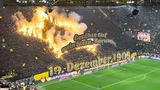 Leuchte auf mein Stern Borussia #ultras #pyro #bundesliga #abonnieren