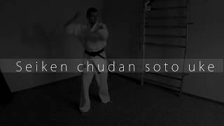 Seiken Chudan Soto Uke - Kyokushin Orange Belt 9th kyu block