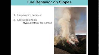 Effects of Complex Terrain on Extreme Fire Behavior