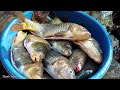 full video smoked fish making process wild boar meat sausage from wild boar living off grid