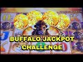 Buffalo Until Jackpot Challenge: Leave Rich or Broke?