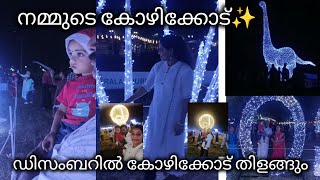 December ആയാൽ കോഴിക്കോട് വെളിച്ചത്തിൽ തിളങ്ങും✨🎄🥰 |Karthusworld 🐝| Minivlog | December Kozhikode |