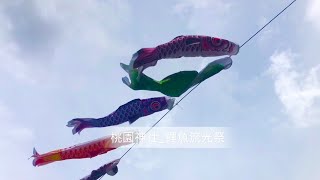 出去走走｜百面鯉魚旗飄揚飛舞，新文青秘境，彷彿置身在日本｜桃園最美神社｜戶外日式寒天豆花店｜妮好 時光｜